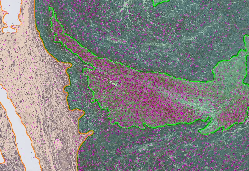 Dynamic Content Image